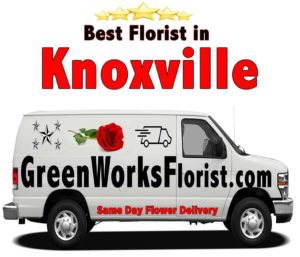 best florist in Knoxville