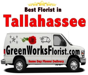 best florist in Tallahassee